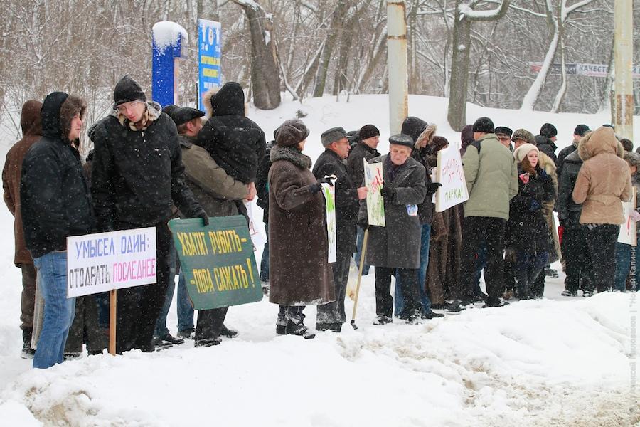 "Зеленые терминаторы": репортаж "Нового Калининграда.Ru"